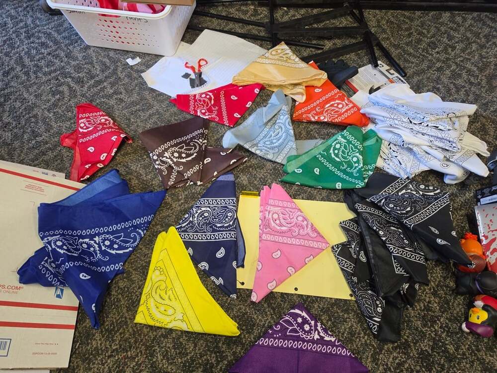 30 Assorted Paisley Print Cotton Bandana Lot